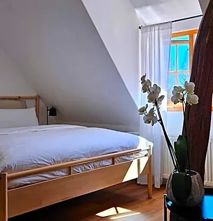 Gaestehaus 22 Am Klostergarten Bed & Breakfast 3*
