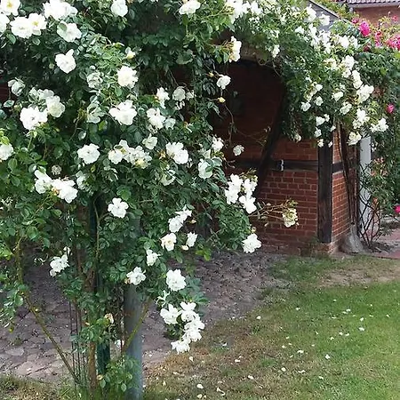 B&B Gaestehaus 22 Am Klostergarten